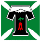 Deportes Temuco (W)